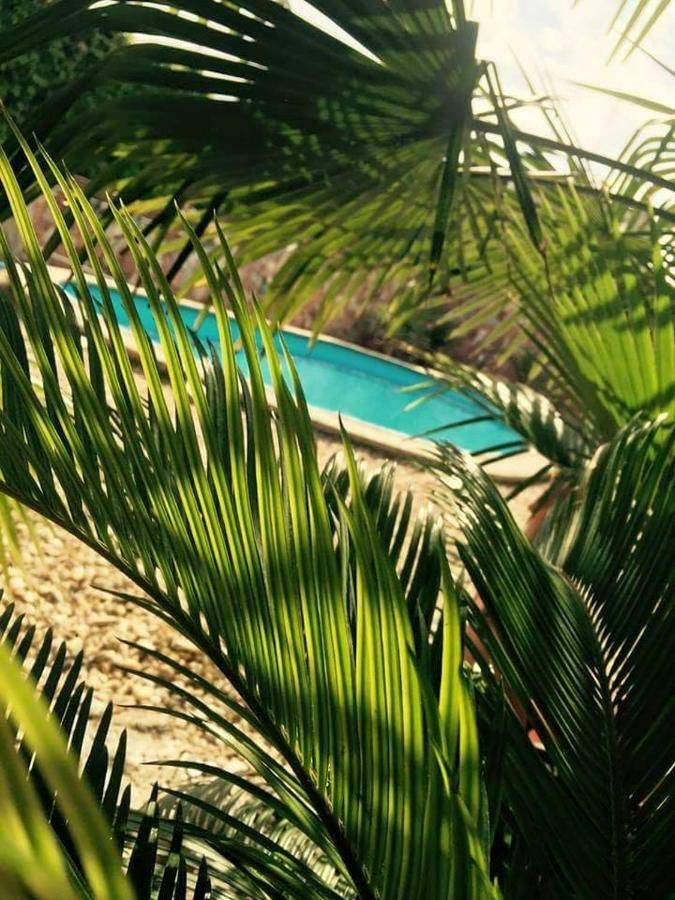 Apartmanovy Dom Red Hotel Podhájska Екстериор снимка